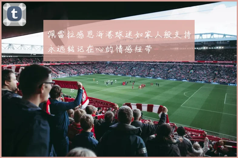 佩雷拉感恩海港球迷如家人般支持永远铭记在心的情感纽带